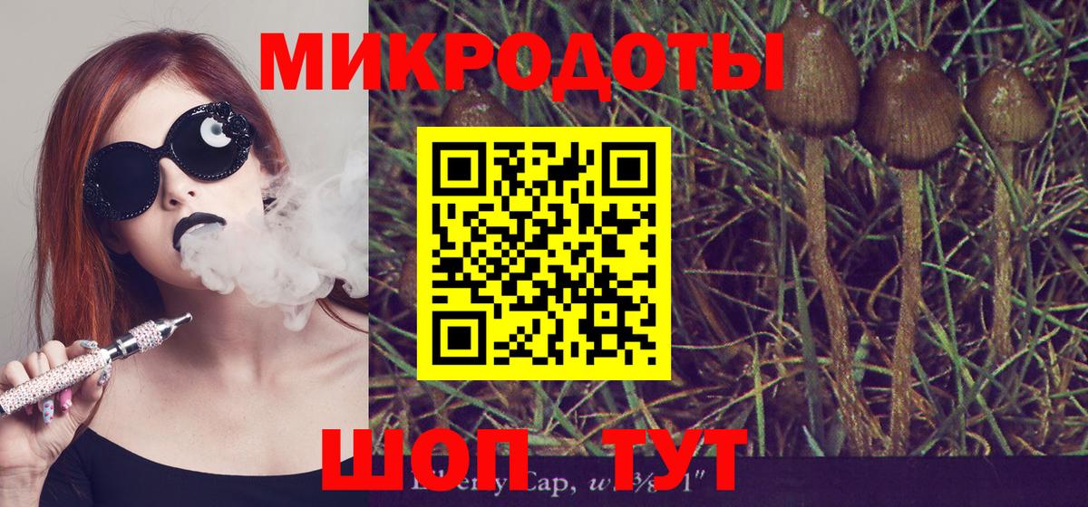 Псилоцибиновые грибы мицелий Карасук
