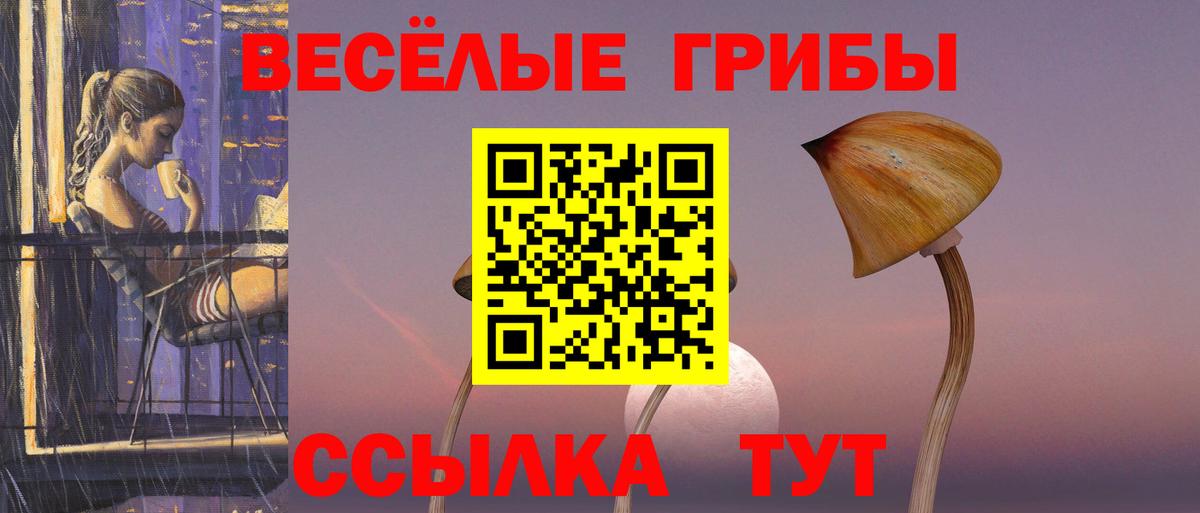 Галлюциногенные грибы Cubensis  Галлюциногенные грибы прущие грибы  Карасук  Вход с VPN 